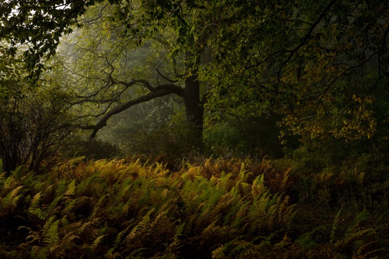 How to Buy Land: A Checklist for Buying a Rural Property