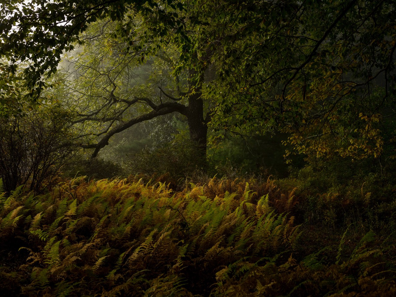 How to Buy Land: A Checklist for Buying a Rural Property