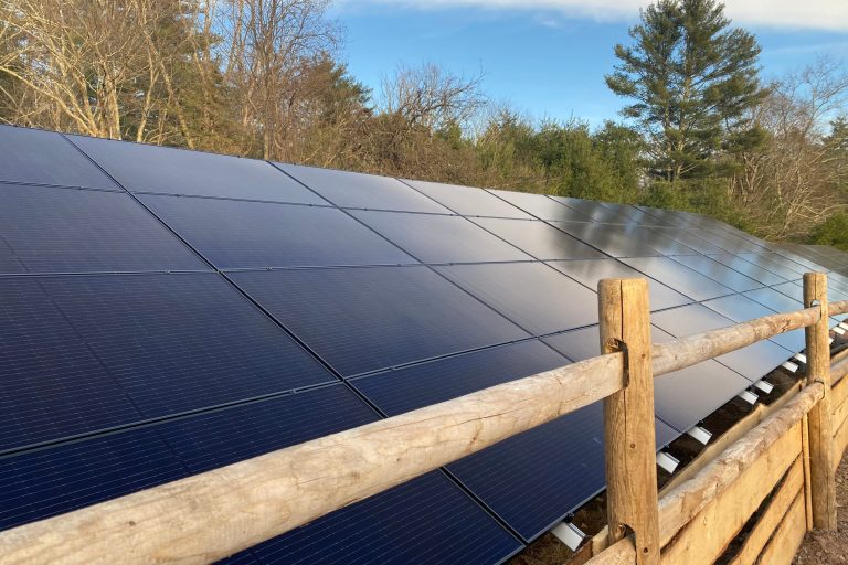 Solar Power: A Guide To Green Energy For Your Family Home